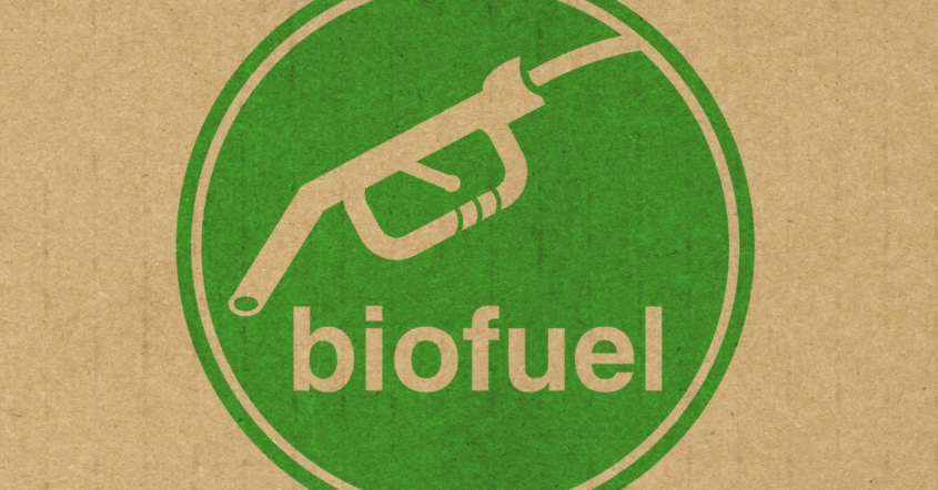 Biofuels Production: What are the Advantages and Disadvantages?