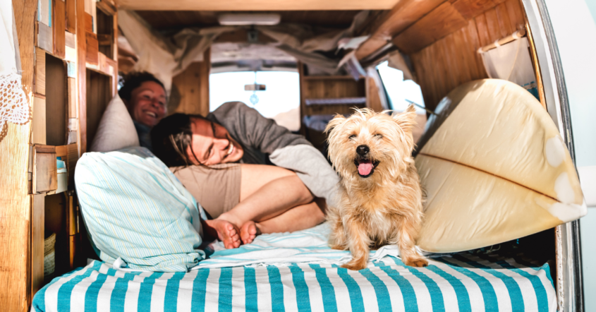 Motorhome Travel with Pets: A Guide to a Safe and Fun Adventure