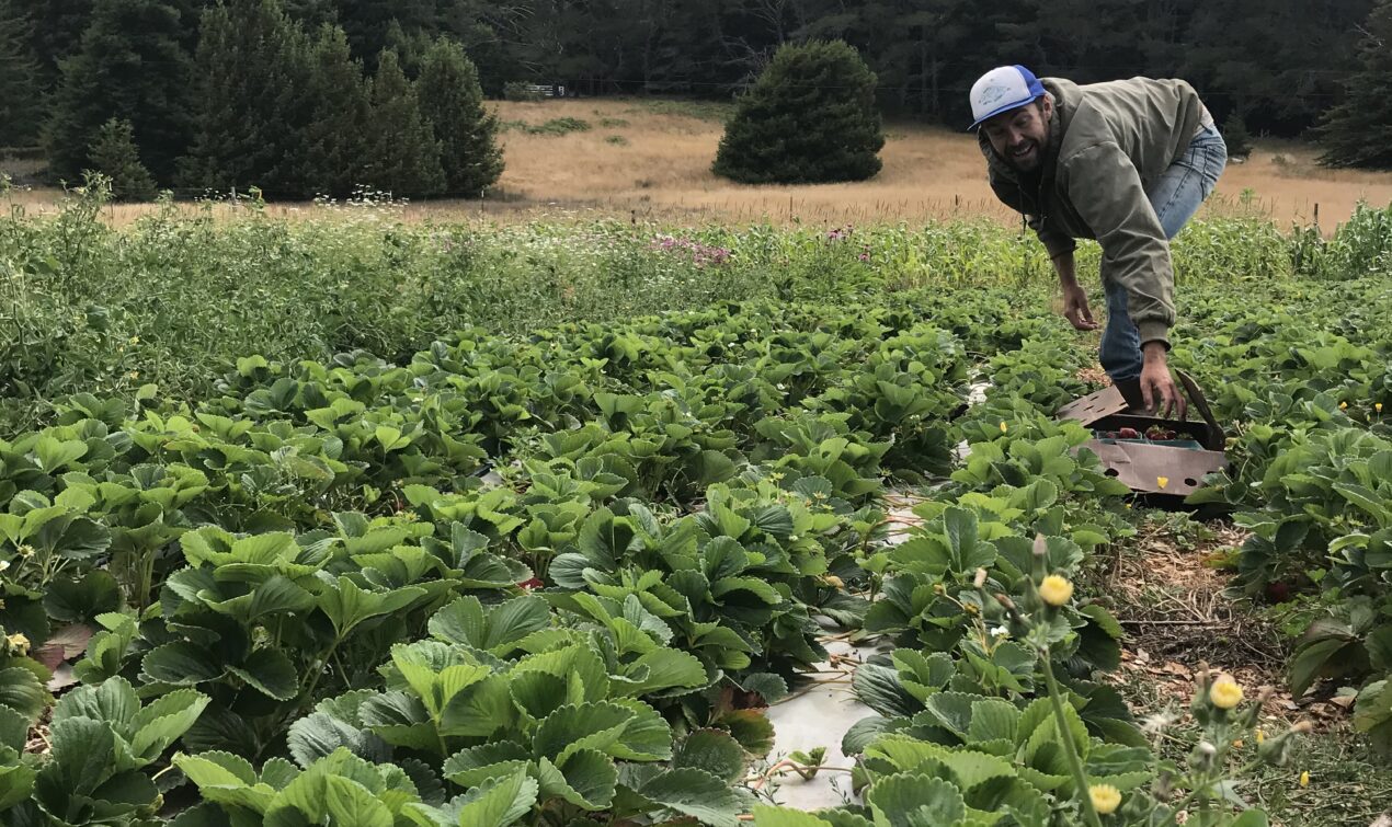 organic farm